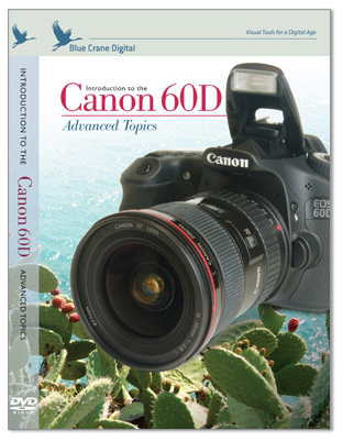Blue Crane Digital - Introduction to the Canon 60D Advanced Topics