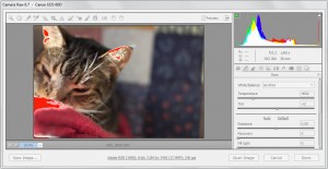 How to Create a DNG File in Adobe Camera Raw