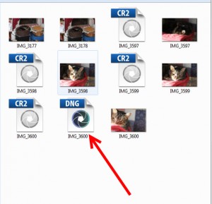 How to Create a DNG File in Adobe Camera Raw
